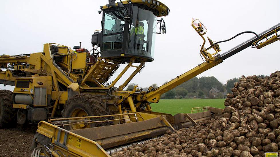 De bieten zijn afkomstig van 3 percelen (11 hectare).