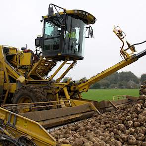 De bieten zijn afkomstig van 3 percelen (11 hectare).