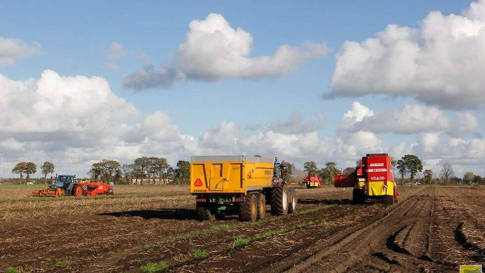 Video: Met Drie Rooiers Laatste Aardappelen Uit De Grond Halen ...