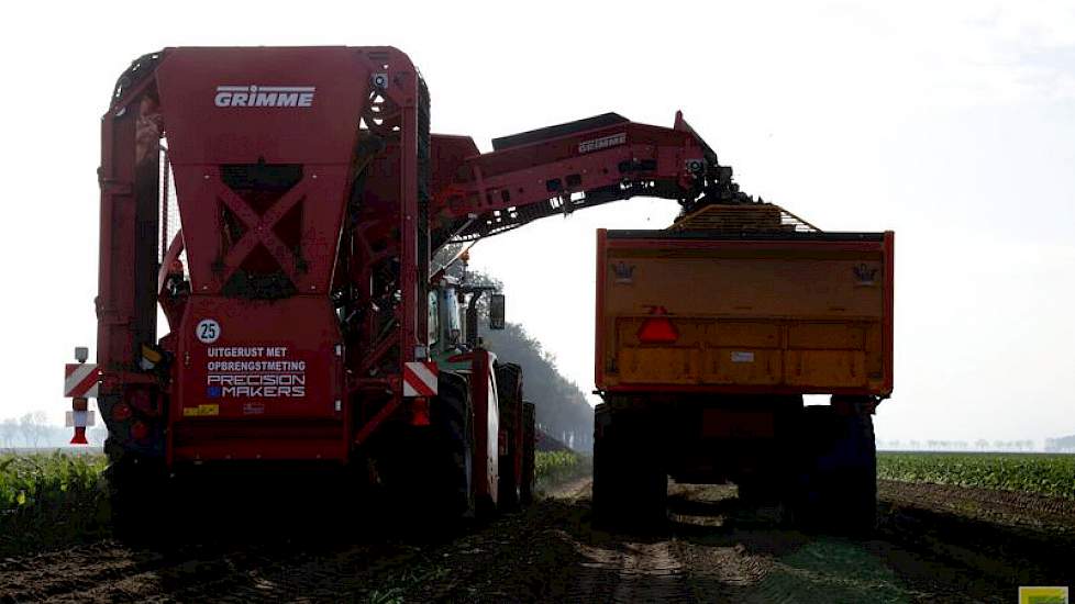 Sterenborg verbouwt in totaal dit jaar ruim 80 hectare, goed voor een kwart van zijn bouwplan.