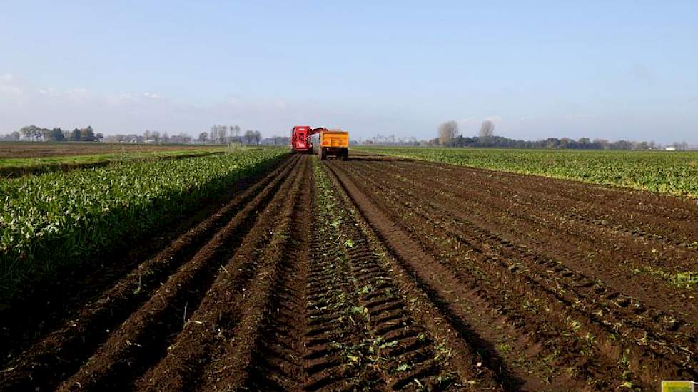 Sterenborg vindt het voor de kwaliteit van zijn bodem belangrijk om de bieten te rooien wanneer het beste moment zich aandient. Maar ja, dat brengt wel hogere bewaarverliezen met zich mee. „Wat is het grootste risico”, vraagt hij zich dan ook af.