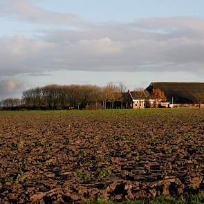 De zonnepanelen zijn niet de enige energiebron voor Bierema. Bij de boerderij staat een windmolen, een tweewieker met een ashoogte van 15 meter.