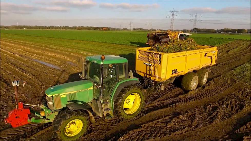 Knolselderij rooien / Celeriac harvest / Knollensellerie ernte / Drone Landbouw  / Agriculture