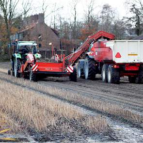 Het afgelopen jaar is tot nu toe niet meer dan redelijk verlopen, zo laat De Wit weten. „De groei van de lelies en bollen was niet beter dan normaal. En ook de prijs staat onder druk als gevolg van problemen met de export naar onder andere China.”