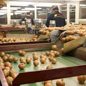 Relatief veel Roemenen willen met Kerst graag thuis zijn. Omdat de grote drukte in de uien niet was voorzien, waren de gewenste extra arbeidskrachten ook niet doorgegeven aan het uitzendbureau.