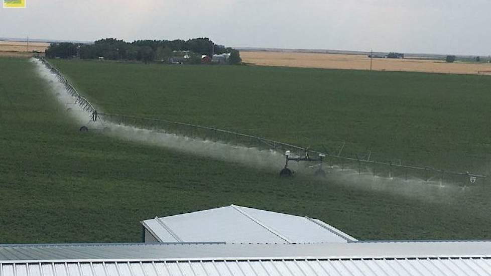 De beregeningsinstallaties hadden het drukker dan normaal, in de bieten heeft Bennen ongeveer 550 tot 600 mm beregend, in de aardappelen was dat ongeveer 500 mm.