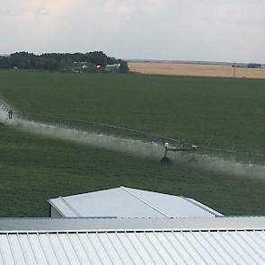 De beregeningsinstallaties hadden het drukker dan normaal, in de bieten heeft Bennen ongeveer 550 tot 600 mm beregend, in de aardappelen was dat ongeveer 500 mm.