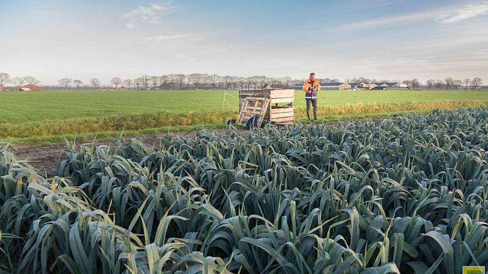 Even verderop, aan de rand van een perceel prei, blokkeert een palletbox het voor het waterschap vrij te houden onderhoudspad. Via GIS Ratio is in no time de perceeleigenaar opgespoord.