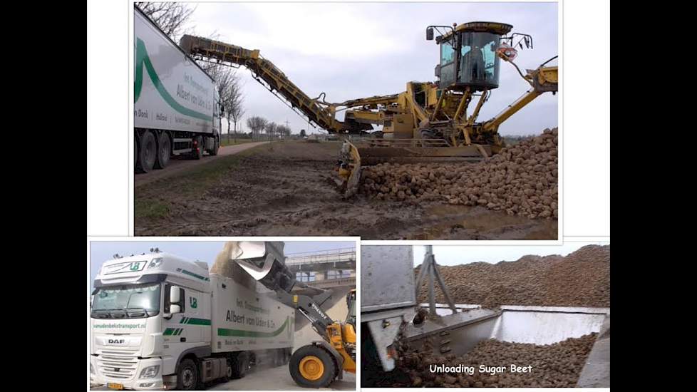 Transporting Sugar Beet from field to factory | Ropa mouse | Suiker bieten vervoeren naar fabriek