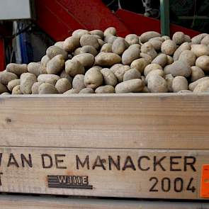 De overige maten worden in kisten gedraaid. Deze aardappelen gaan in het voorjaar weg, waarschijnlijk naar fritesaardappeltelers in Nederland, België of Duitsland.