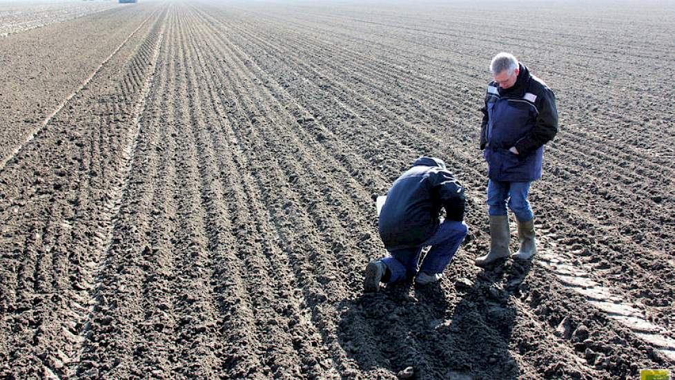 Jan van der Slik van Van Iperen controleert met René Buth of de kluiten klein genoeg zijn geworden om de uien onder te dekken.