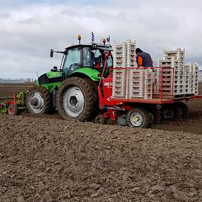 Medewerkers Alexanders en Theo den Engelsman verzorgen samen het poten van de Frieslanders.