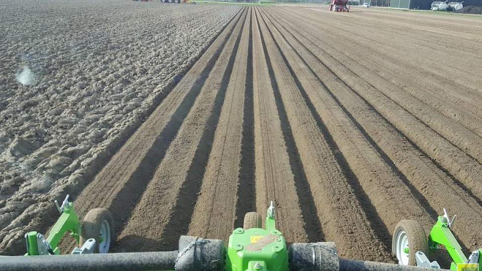 Bij het groot akkerbouwbedrijf Novifarm in de Hoeksche Waard zijn vandaag de eerste aardappelen de grond in gegaan.