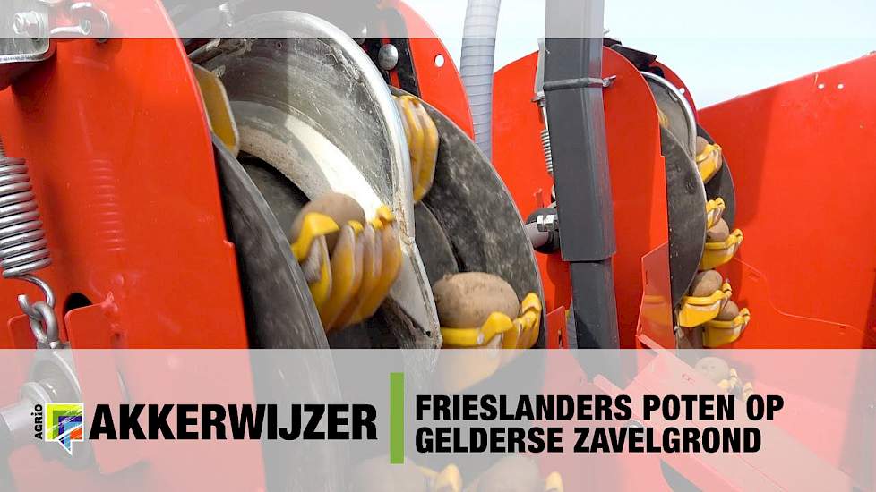 Frieslanders poten op Gelderse zavelgrond - John deere 6155R en Miedema CP42 pootmachine