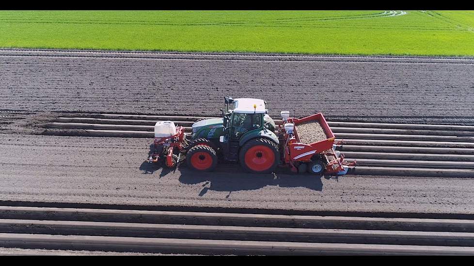 Maas Markelo aardappelen poten