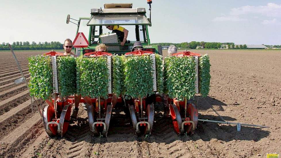 Rijk: „ Dit is de tweede ronde. Per keer planten we 9.000 bloemkoolplantjes. Ik heb de machine nu voor het eerst in gebruik. Voor een eenvoudige machine doet ie het mooi.”