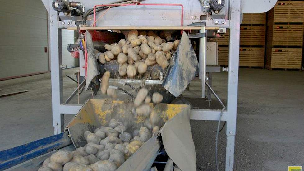 Ook Boer heeft schade opgelopen in zijn gewassen als gevolg van de vele regen. ‘Een deel van de aardappelen is niet opgekomen.’ Overpoten was hier geen optie. ‘Het was vaak pleksgewijs midden in een perceel. Bovendien was er ook geen pootgoed meer beschik