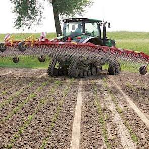 Van Gaalen: „Het is een basismachine voor de biologische landbouw. Wij hebben deze wiedeg nu zo’n vijf jaar in gebruik.”