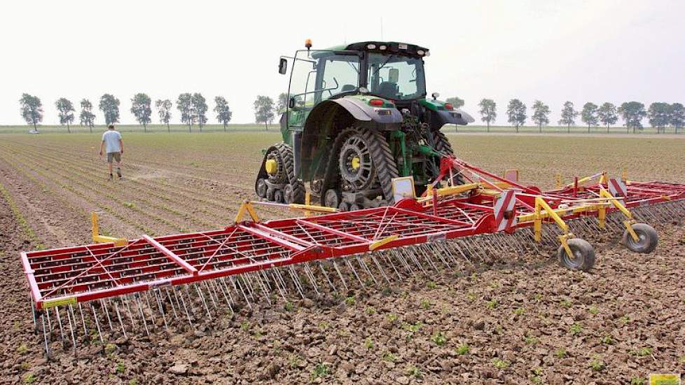 De knolselderij is 26 april geplant en kort daarna beregend om ze te laten aanslaan. „Later hebben ze nog een keer in korte tijd 10 millimeter neerslag gehad. Hierdoor is er korstvorming onstaan”, aldus Van Gaalen, die het perceel zo snel mogelijk met de