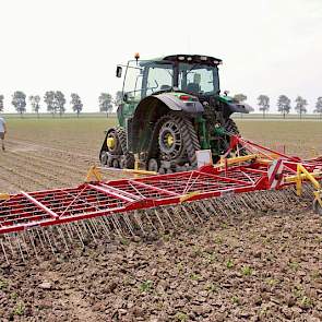 De knolselderij is 26 april geplant en kort daarna beregend om ze te laten aanslaan. „Later hebben ze nog een keer in korte tijd 10 millimeter neerslag gehad. Hierdoor is er korstvorming onstaan”, aldus Van Gaalen, die het perceel zo snel mogelijk met de