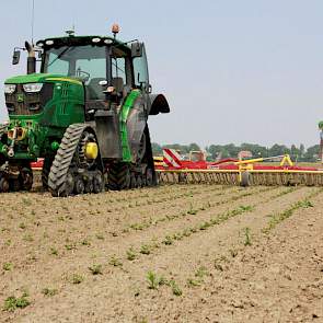 Het bedrijf Biostee omvat 350 hectare, waarvan een derde deel huur. De ‘eigen grond’ blijft van ieder afzonderlijk. Van Gaalen vindt het een mooie manier werken, want zo kun je eerder van de voordelen van schaalvergroting profiteren. „Je kunt waar nodig s