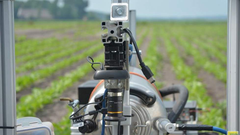 De camera achterin detecteert de planten in de rijen.