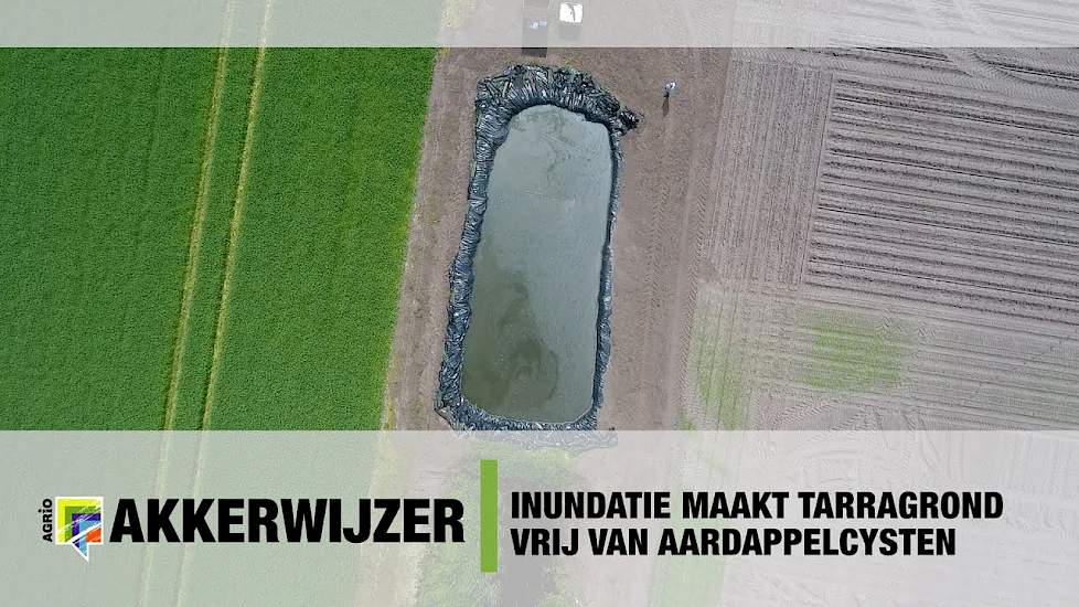 Inundatie maakt tarragrond vrij van aardappelcysten