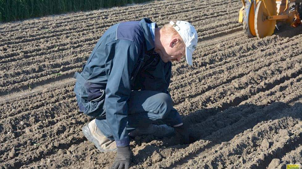 Zoon Elmen poot de aardappelen en zaait het maïszaad, Bert loopt achter de machine . Af en toe stopt hij om een stukje open te graven om zo het zaai- en pootwerk te bekijken.