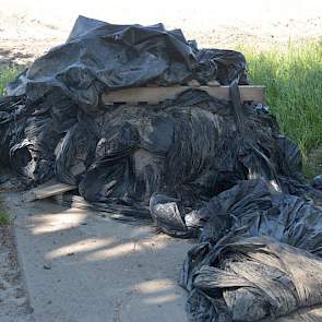 Westerdijk heeft ook geëxperimenteerd met biofumigatie en inundatie. Een groot praktisch probleem hierbij vindt hij de grote berg plastic die overblijft aan het eind van het seizoen. Achter op zijn erf ligt een berg zwart bemodderd plastic. „En dit is nog