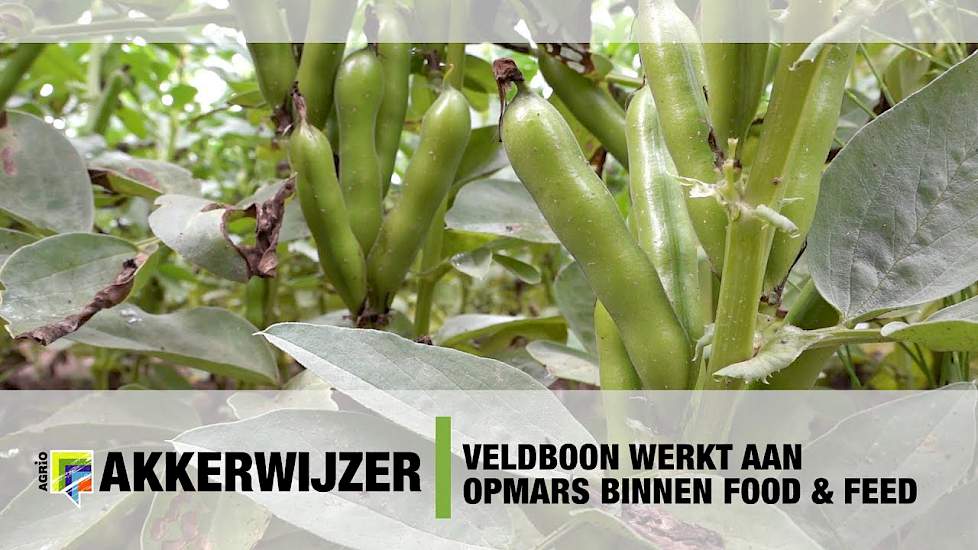 Veldboon werkt aan opmars binnen Food & Feed