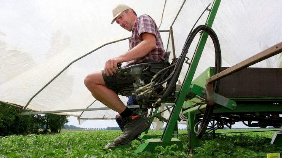 Dankzij deze tent kan hij ook tijdens felle zon selecteren. „Wij zitten in de schaduw, maar belangrijker nog, de planten ook. Zo kunnen we beter zien of er zieke planten in staan.”