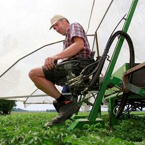 Dankzij deze tent kan hij ook tijdens felle zon selecteren. „Wij zitten in de schaduw, maar belangrijker nog, de planten ook. Zo kunnen we beter zien of er zieke planten in staan.”