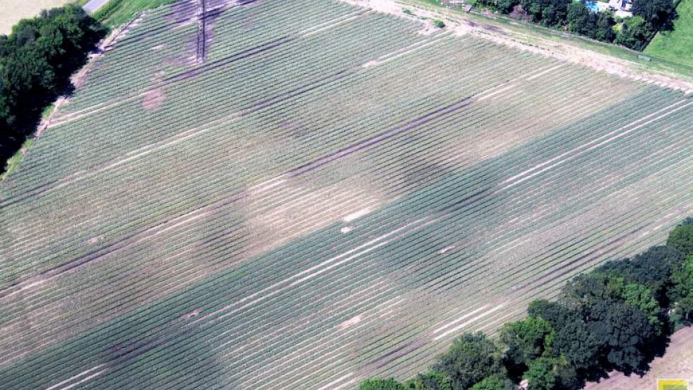 Linksboven zijn de afwateringsgeulen nog goed in beeld.