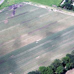 Linksboven zijn de afwateringsgeulen nog goed in beeld.