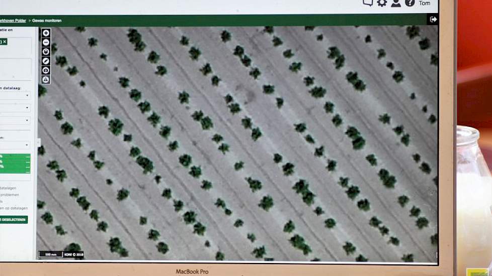 Een ingezoomde kaart van een aardappelperceel. Duidelijk zichtbaar zijn de plekken waar een plant ontbreekt.
