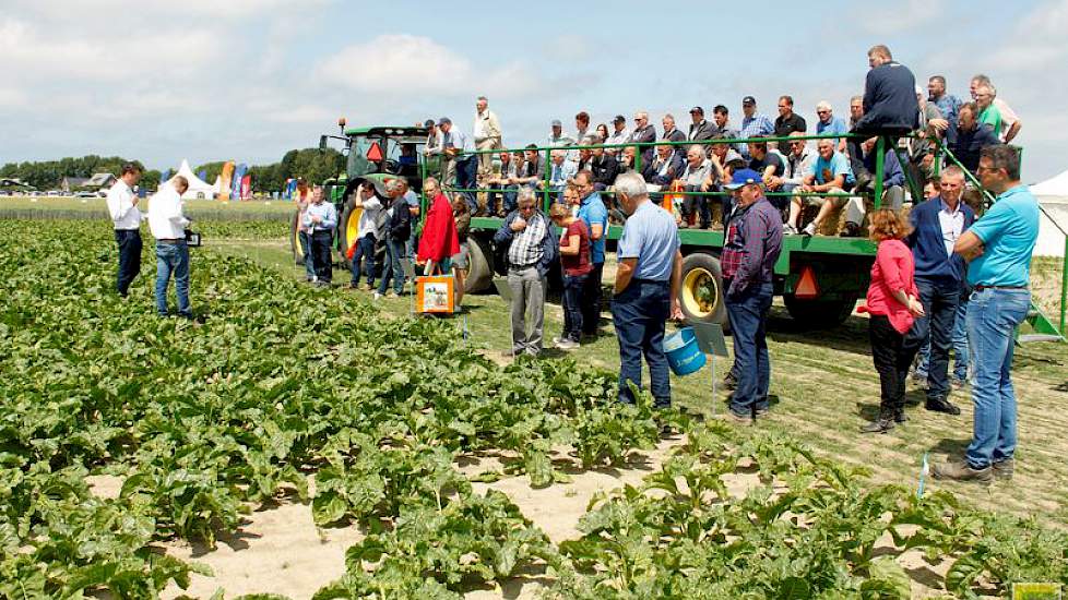 Veel belangstelling ook tijdens de rondleiding over de proefpercelen met suikerbieten.