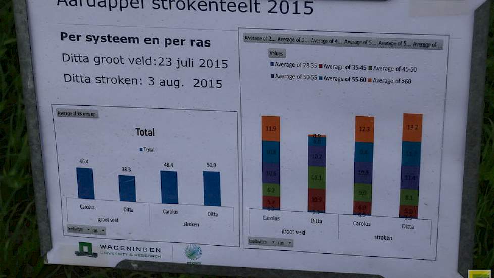 De resultaten van de strokenteelt geven een duidelijk beeld.