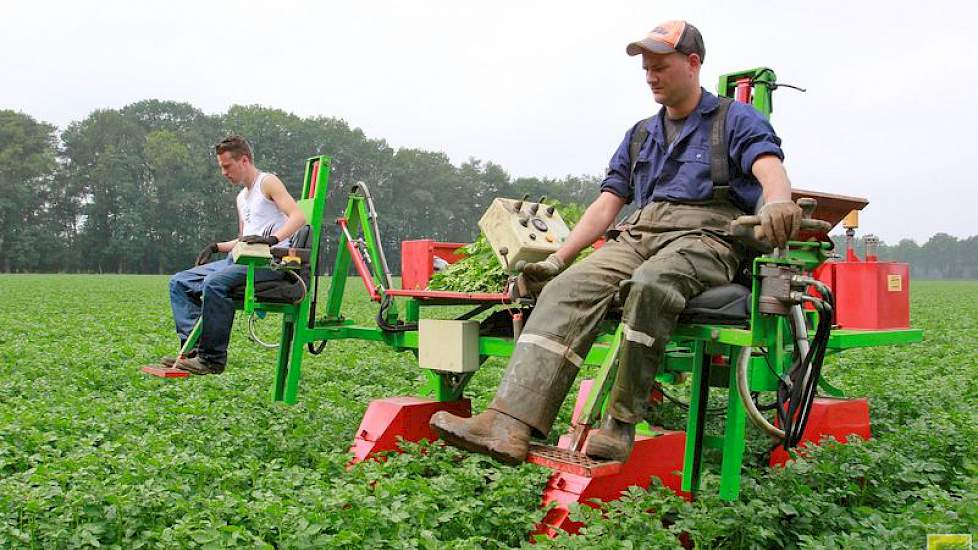 Maar eigenlijk is de kar niet zo belangrijk, vindt Prinzen. ‘Het gaat om de mensen die er op zitten, hun ogen zijn het belangrijkste.’ Het is niet gemakkelijk om goede selecteurs te vinden, zegt de akkerbouwer uit Aalten. ‘Een bacteriezieke plant die verd