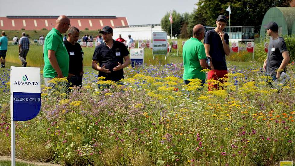 In de gewasdemonstratie groenbeheer/biodiversiteit hebben de verschillende mengsels gezorgd voor een uitgebreid kleurenpalet.