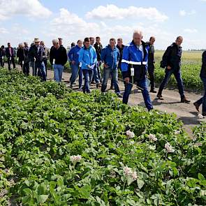 Speciale rondleidingen richtten zich op aardappelteelt, pootgoed, suikerbieten, uien en graan. In het veld gaven firma's en onderzoekers uitleg over de proeven die zij op het proefbedrijf hebben liggen.