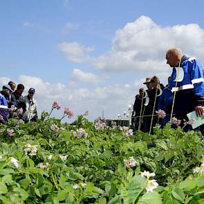 Verschillende fabrikanten toonden hun nieuwste middelen of proeven met combinaties van middelen om het seizoen sterk door te komen. Belchim, Bayer en BASF gaven uitleg in het veld en in de schuur van Kollumerwaard. Nieuwe middelen kunnen bijdragen aan bet