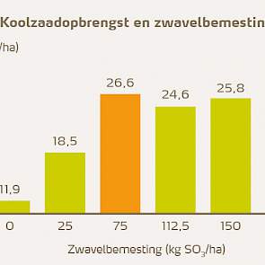 Grafiek: De optimale zwavelgift in winterkoolzaad is ca. 75 kg SO3/ha (Duitsland).