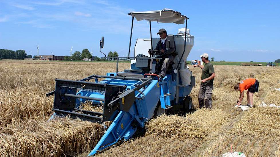 De 10% lijnen die vorig jaar door gingen voor verdere beproeving, worden hier met combines gedorsen