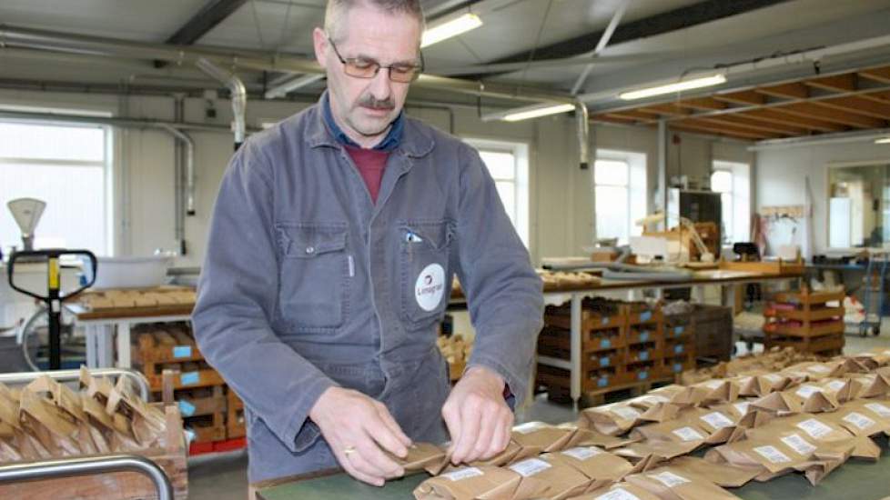 De zakjes zaad worden op inzaaivolgorde gereedgelegd, gecontroleerd en in kistjes gelegd, die straks naar het veld gaan. Een medewerker op een aangepaste zaaimachine leegt de zakjes in de zaaimachine. Het voorkomen van fouten is daarom in deze fase crucia