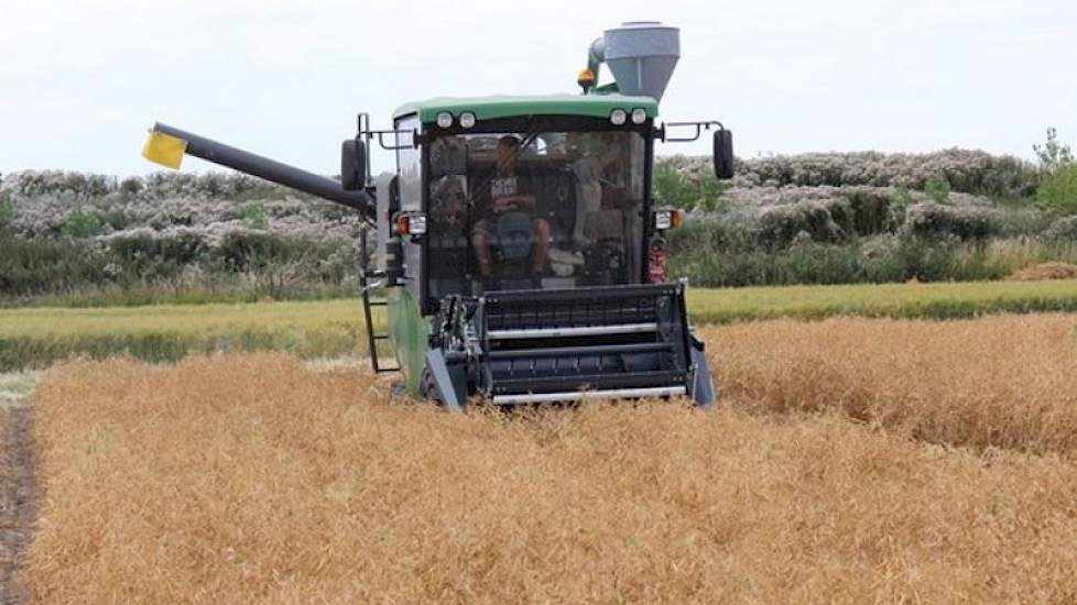 Kleinere vermeederingen worden met de proefveldcombine geoogst