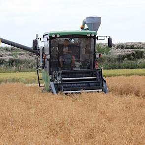 Kleinere vermeederingen worden met de proefveldcombine geoogst