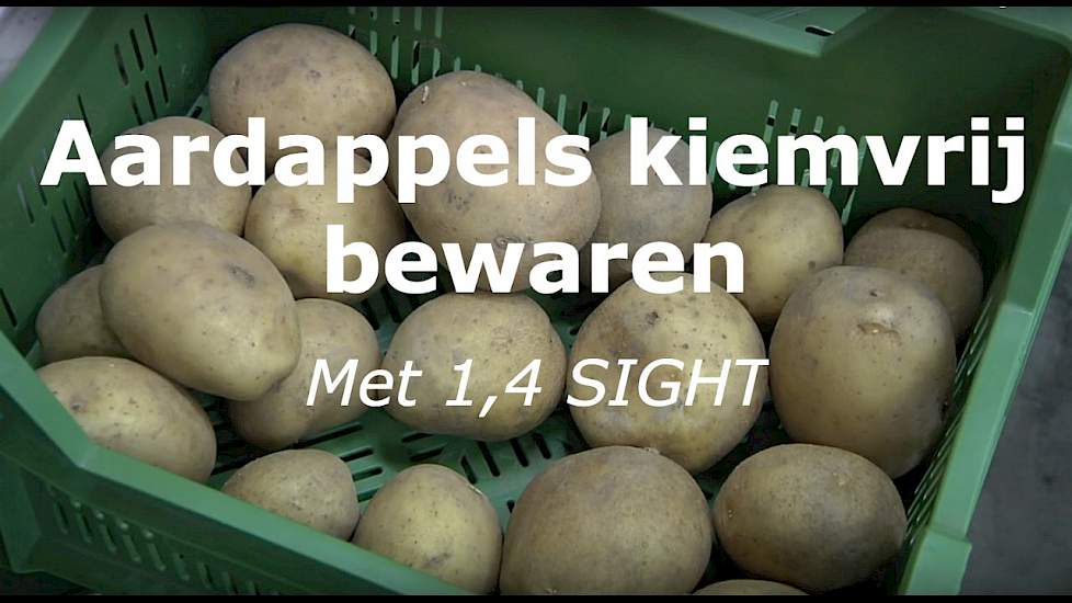 Met 1,4 SIGHT uw aardappelen kiemvrij bewaren