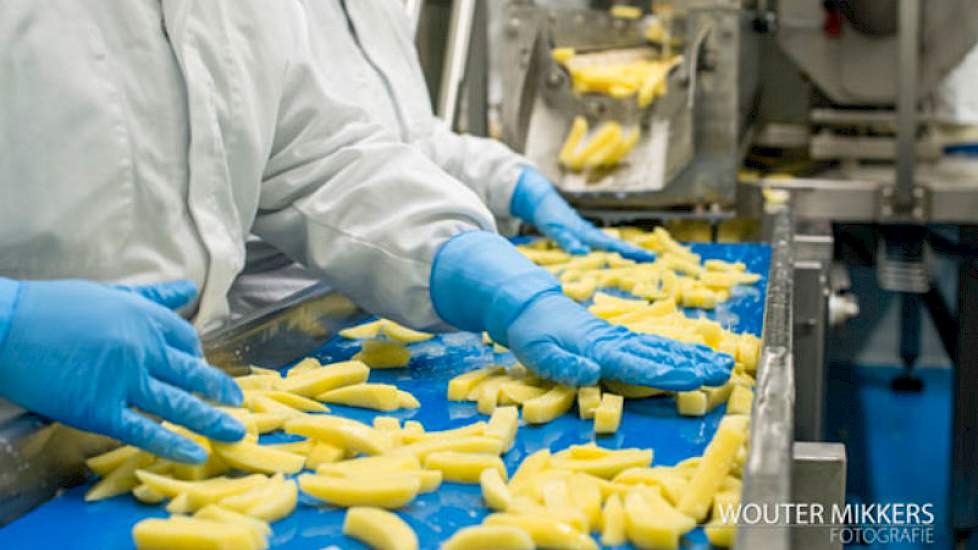 De broers Veerman verwerken ongeveer een kwart van hun aardappelen tot verse frites (www.verseboerderijfriet.nl). Dat gebeurt met een Eigen verwerkingslijn op het bedrijf. Klanten zijn onder meer supermarkten, restaurants, verzorgingstehuizen en cafetaria