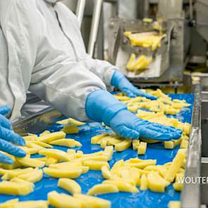 De broers Veerman verwerken ongeveer een kwart van hun aardappelen tot verse frites (www.verseboerderijfriet.nl). Dat gebeurt met een Eigen verwerkingslijn op het bedrijf. Klanten zijn onder meer supermarkten, restaurants, verzorgingstehuizen en cafetaria