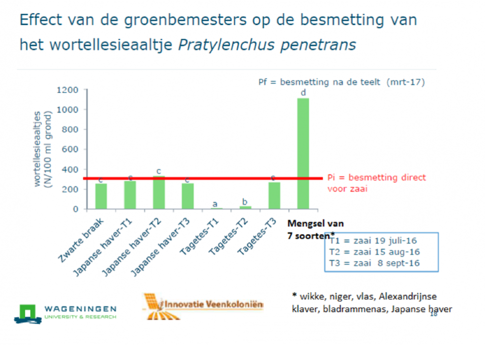 Schadelijke aaltjes gaan actief op zoek naar hun waardplant(en) om zich te vermeerderen